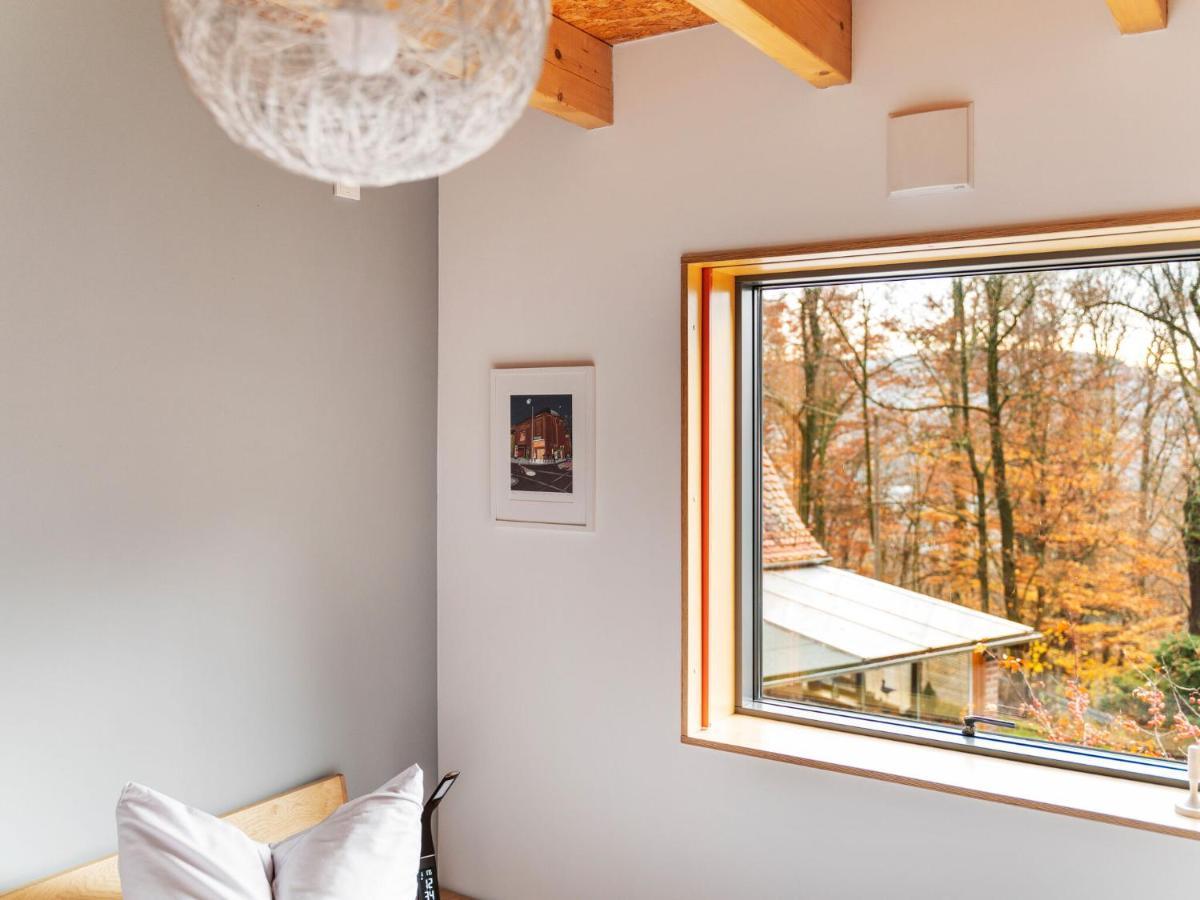 Splendid Holiday Home In Freital With Sauna Экстерьер фото